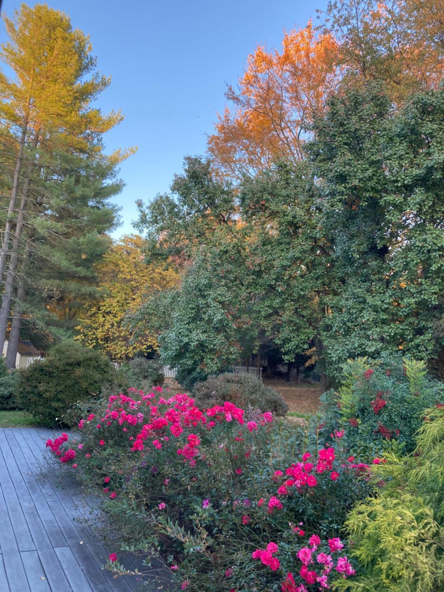 Purcellville Home מראה חיצוני תמונה